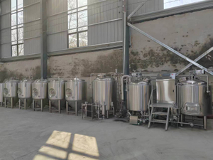 500L Beer Brewing Equipment (4).jpg